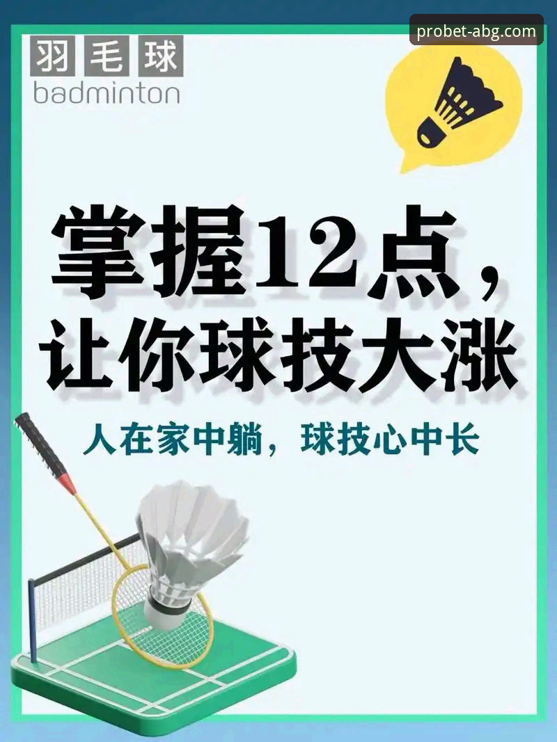 如何从一场羽毛球决赛的胜利，洞悉竞技体育的深层逻辑与平台体验？